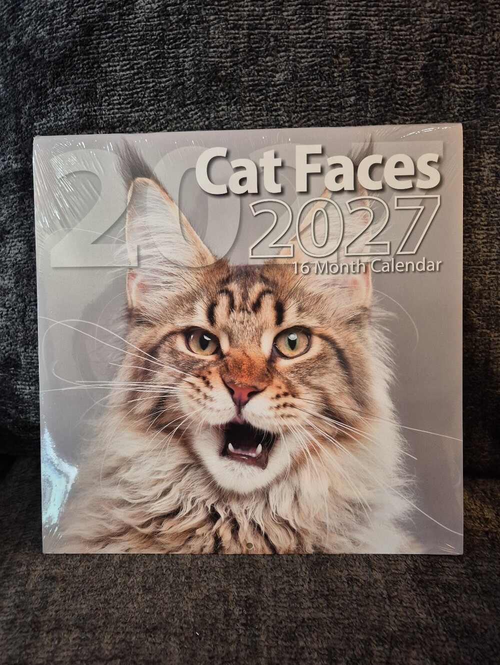 2027 Cat Faces